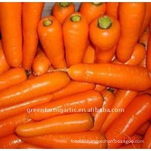 healthy carrot in china